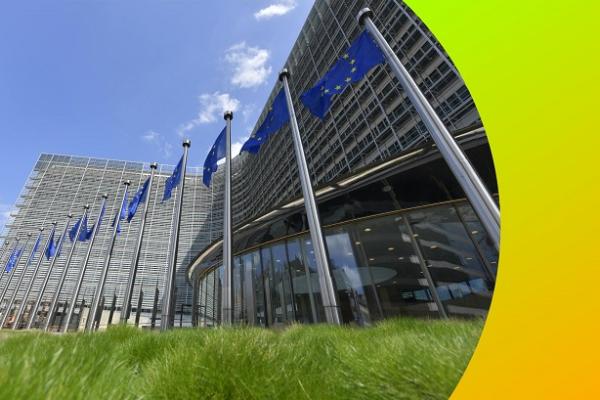 Grass in front of the Commission Berlaymont building.